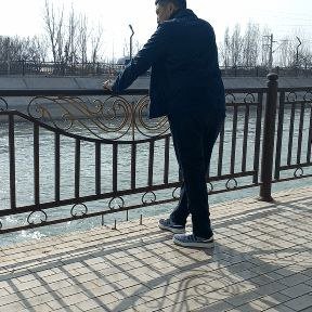 ZafarT37540's profile picture. 