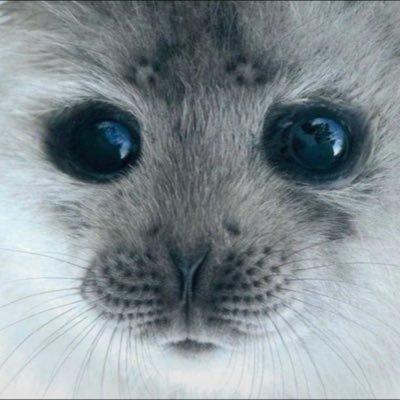 infpene's profile picture. one day i’m gonna grow wings
