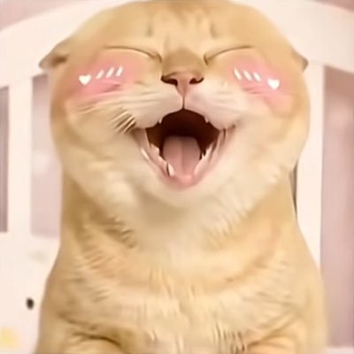 feng5144's profile picture. 干啥啥不行，吃饭第一名