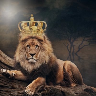 Badshah882mc's profile picture. news 🗞️. @Badshah.882