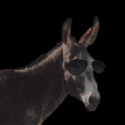 DrunkStallion's profile picture. 𝐷𝑜𝑛𝑘𝑒𝑦 𝑤𝑖𝑡𝒉 𝑠𝑒𝑟𝑖𝑜𝑢𝑠 𝒂𝒍𝒄𝒐𝒉𝒐𝒍𝒊𝒔𝒎 𝑝𝑟𝑜𝑏𝑙𝑒𝑚𝑠  ᅠᅠᅠᅠ 𝘿𝙖𝙧𝙠 𝙩𝙝𝙚𝙢𝙚𝙨  ᅠᅠᅠᅠ  𝐑𝐲𝐨𝐧𝐚 & 𝐑𝐚𝐩𝐞  ᅠᅠ ᅠ  #YoungAu