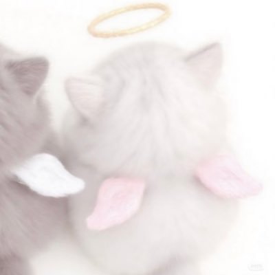 2utozz's profile picture. 