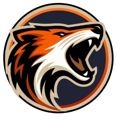 xsirfox's profile picture. 🇵🇹 Portugal | 🎮 Gamer | 📽 Streamer | 🎙 Entertainer    🔽 Links úteis