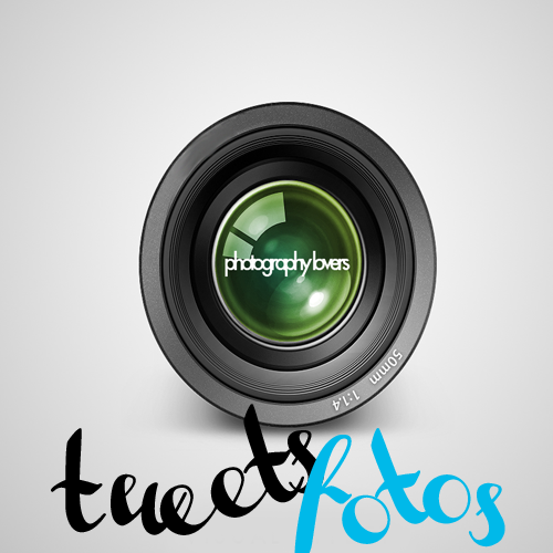 Here you will find the best pictures of all kinds. Aquí encontraras las mejores fotos de todo tipo.
