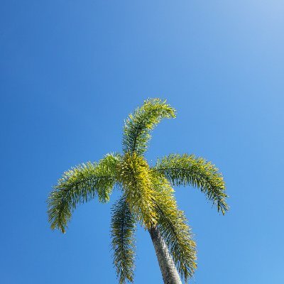 yangjiyun265575's profile picture. 