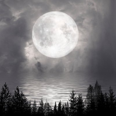 Joyce91794816's profile picture. Odd ball sense of humour! 🥴😁😵💫🤣✌️♥️🎶🎵 love of friends & family.🇨🇦🙏🇺🇦 Great tunes & great food 🎸🎤 🥩 🫒 🍷 🍻 🧄 🧀 🥖 Peace,✌️❤️👍🏁