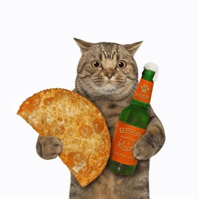 gobbleson81265's profile picture. hi