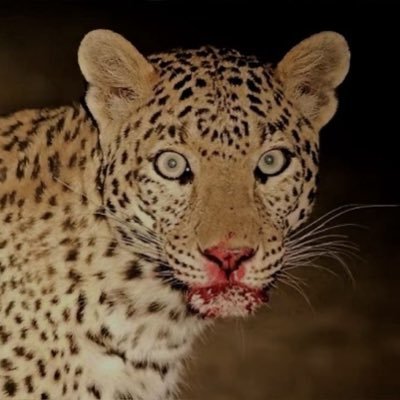 MelissaFarago's profile picture. 