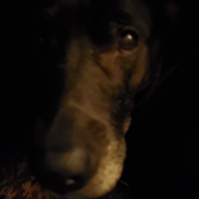 JD6981671289562's profile picture. 