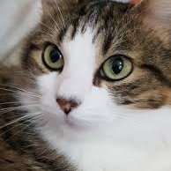 tom507973943's profile picture. 自然愛好家❤