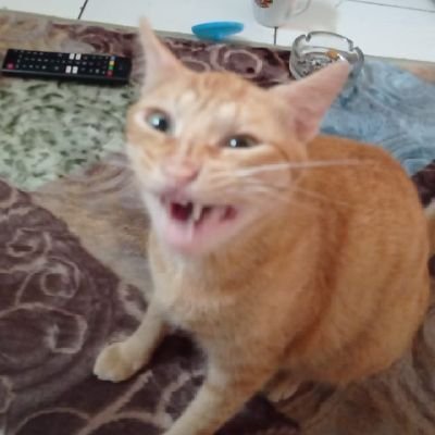 soentingmelajoe's profile picture. jualan buku (new/ mostly 2nd) | ig: @soenting_melajoe |

🍊 https://t.co/z3kRz473TN
📞 https://t.co/1LtmZQ7NoJ