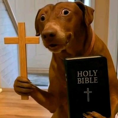Englottee04's profile picture.