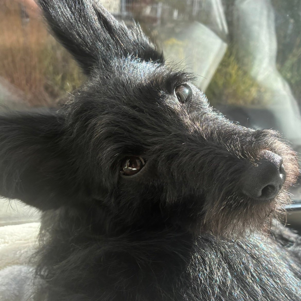 Konobsru's profile picture. 