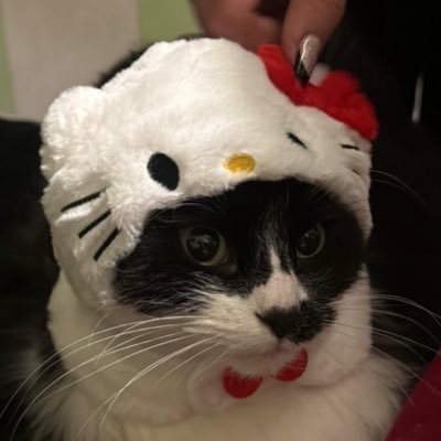 Orianea_'s profile picture. feminista hasta la raiz.