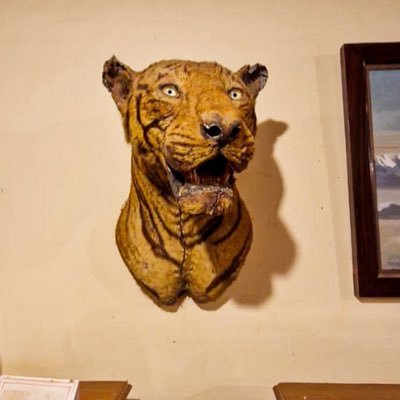 MajorSpecter's profile picture. Your Next Door Critic!