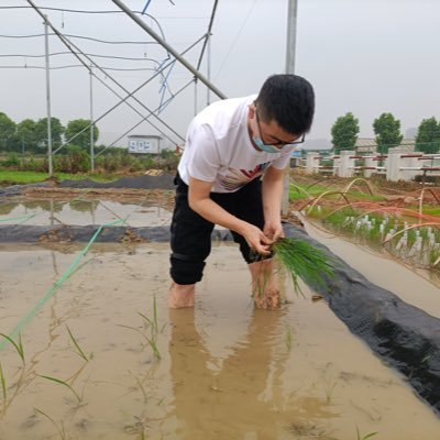 Wenshang_Kang's profile picture. Phd@HZAU