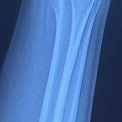 ahriahr1's profile picture. FREE PALESTINE 🇵🇸 ♍︎ ♑︎ ♏︎