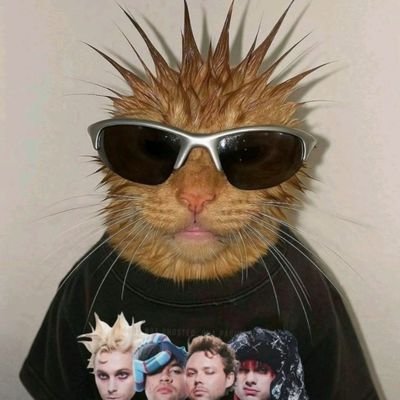 coltengarcia19's profile picture. not a bears fan but a fan of chicago