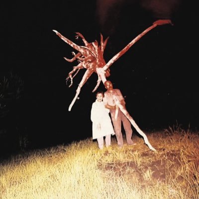 Tape5k's profile picture. 🇸🇻