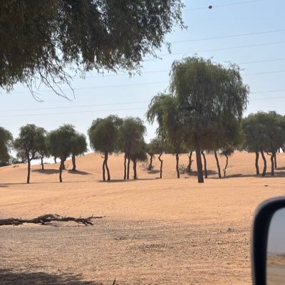 Oct__MM's profile picture. الحمدلله 🕊️