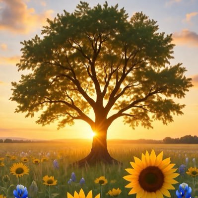 TX_WildKin2amz's profile picture. Christian, American, Wife and Mother - Introverted night owl energy, not a BOT | Late-night X news and information junkie ❤️ 💙🤍