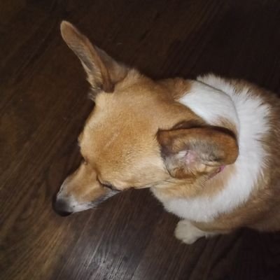 singersongster's profile picture. Patriot. Consultant. Instructor. Writer. Musici