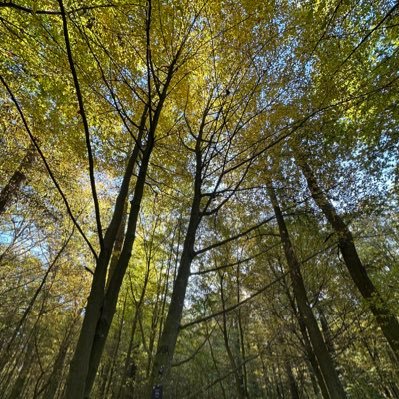 Zuschauer_76's profile picture. LibKon 🇮🇱🇺🇸🇦🇷🇮🇹 … ✝️