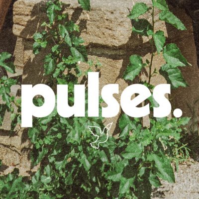@pulsesVA