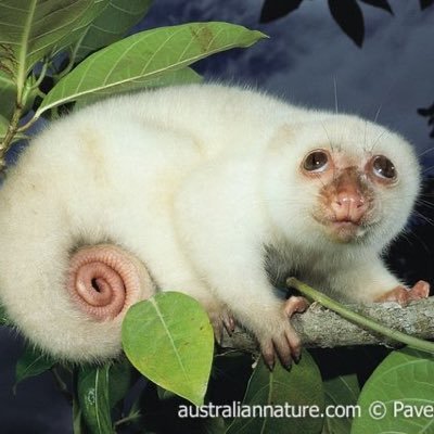 midwestmagic93's profile picture. I’m 10 years old and I’ll beat your ass! #Business is business.