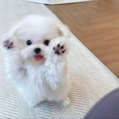 @winmesbp