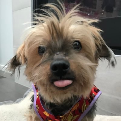 yycburr's profile picture.