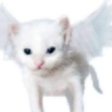 yong_bogi's profile picture. #필릭스