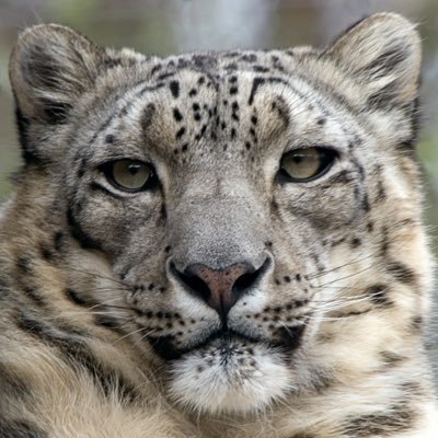 SKatcha_katchaa's profile picture. 