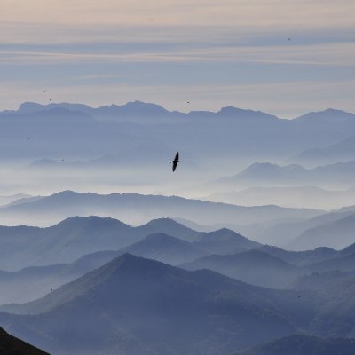 gh70faa's profile picture. 