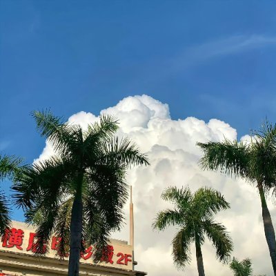 Tssyaao's profile picture. 公園で午後を楽しむのが好きです😊🌤
旅を思い出して、もう一度行きたくなることもあります🛫
新しい風景を見るたびにいつも違う自分に出会えて、楽しみです