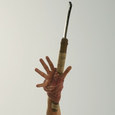 rawhuluu's profile picture. Super Tiger | Guruji Stan
