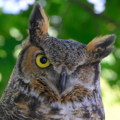 royshow2198's profile picture. 声優オタク、 マレーシア🇲🇾在住 
趣味仲間相互フォロー！ 
#アイドルマスタ 担当　春香閣下　久川姉妹　秦谷美鈴
#スト6 　ベガ　#GGST　クイーン・ディズィー　
使用デバイス：PWSminiBox　
#美少女ゲーム 　みるくふぁくとりー　あざらしそふと
最推し絵師 #桃豆こまもち