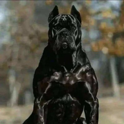 SEPortlandPNW's profile picture. - From Kansas - Rock Chalk- -Cancer Survivor - Spreading truth - -Awkward Comments- Helping the homeless of the streets of NE/SE Portland  🚫Stop porn🚫