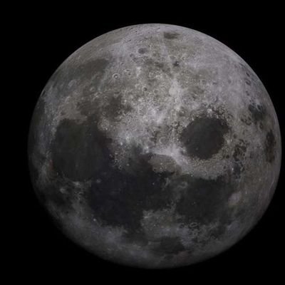 Ankit4193244974's profile picture.