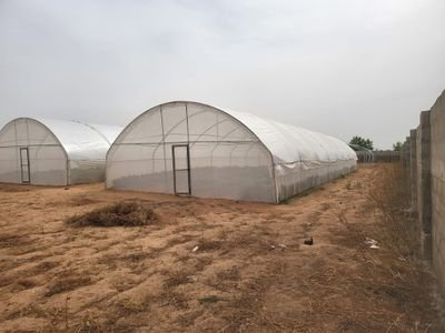 talmbat4farmers's profile picture. Agricultural consultancy | Regenerative energy | Farmer | Green world champion
Contact us on:- 08037158038 or 08033630950