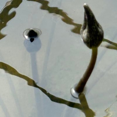 se_sa_me_ta_rt's profile picture. Lunchtime