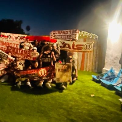 domenicochea33's profile picture. deporte fútbol movies películas y cine libertad y democracia música meditación