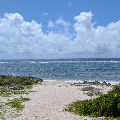 2NHWC0Q9qC78821's profile picture. 