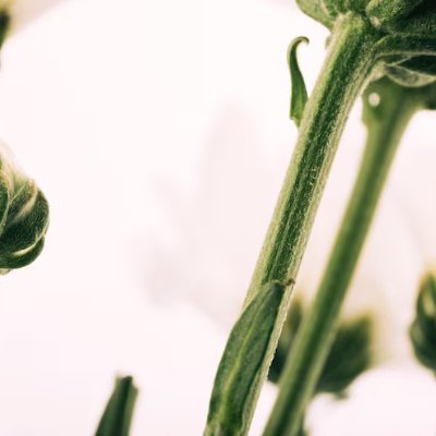 ymrlt87452128's profile picture. 