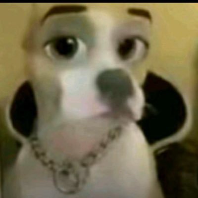 sellposer's profile picture. 19