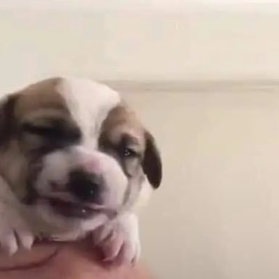 tiricienta_'s profile picture. sigo triste