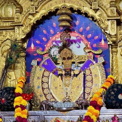 Khushir20198611's profile picture.