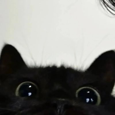 miuu4u's profile picture. @miuu4iu