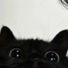 miuu4u's profile picture. @miuu4iu
