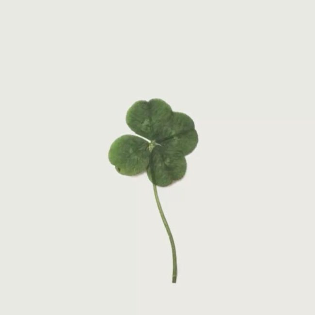tokagem36's profile picture.